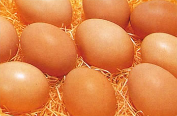 安心・安全なヘルシー卵